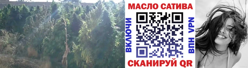 ТГК концентрат  blacksprut рабочий сайт  Севастополь 